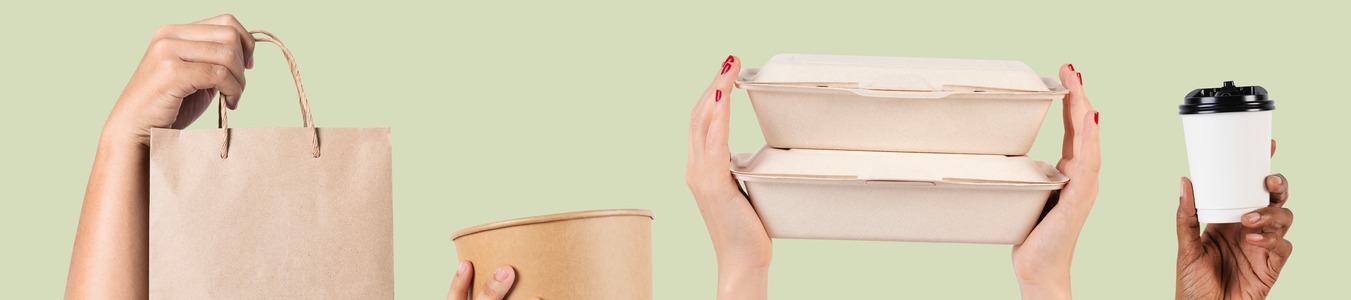 Single-use plastic take-away food packaging and its alternatives banner