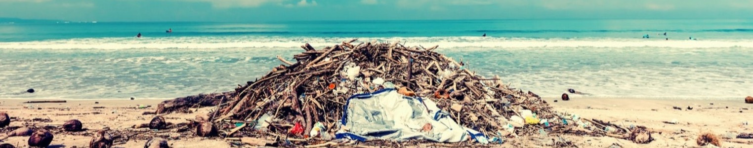 Addressing marine plastics: A systemic approach banner