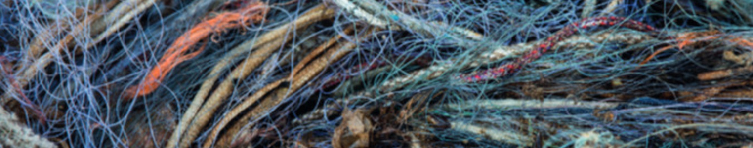 The Baltic Sea Blueprint: A Step-by-Step Roadmap On How to Approach Derelict Fishing Gear banner