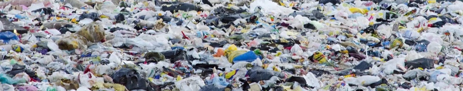 Waste to Bioplastics: How Close are we to Sustainable PHA Production? banner