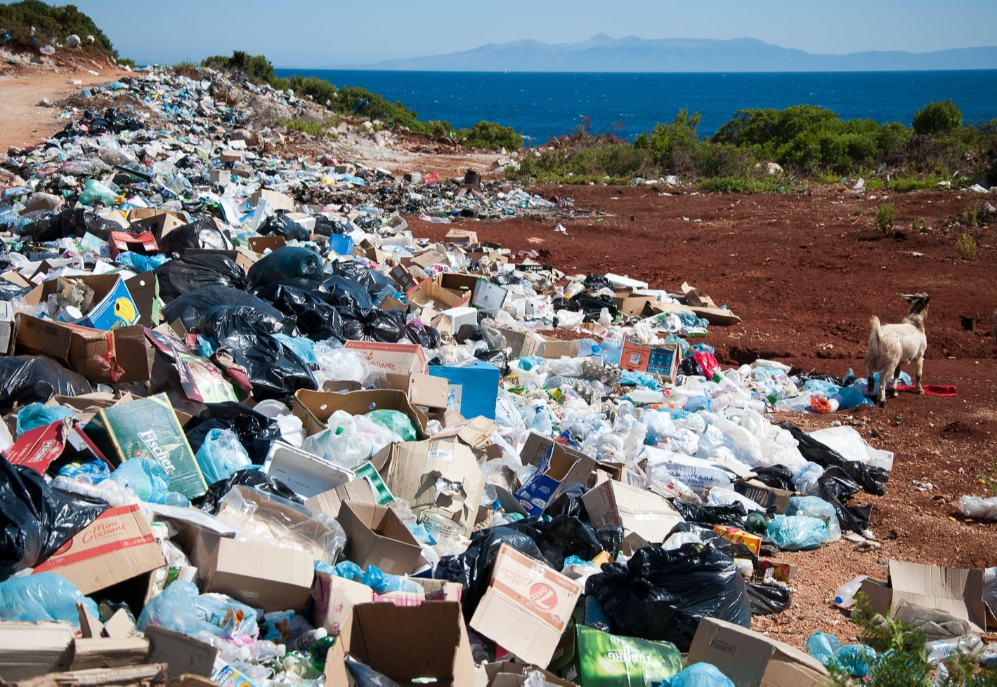 Assessing Molecular Recycling Technologies in the United States and Canada card