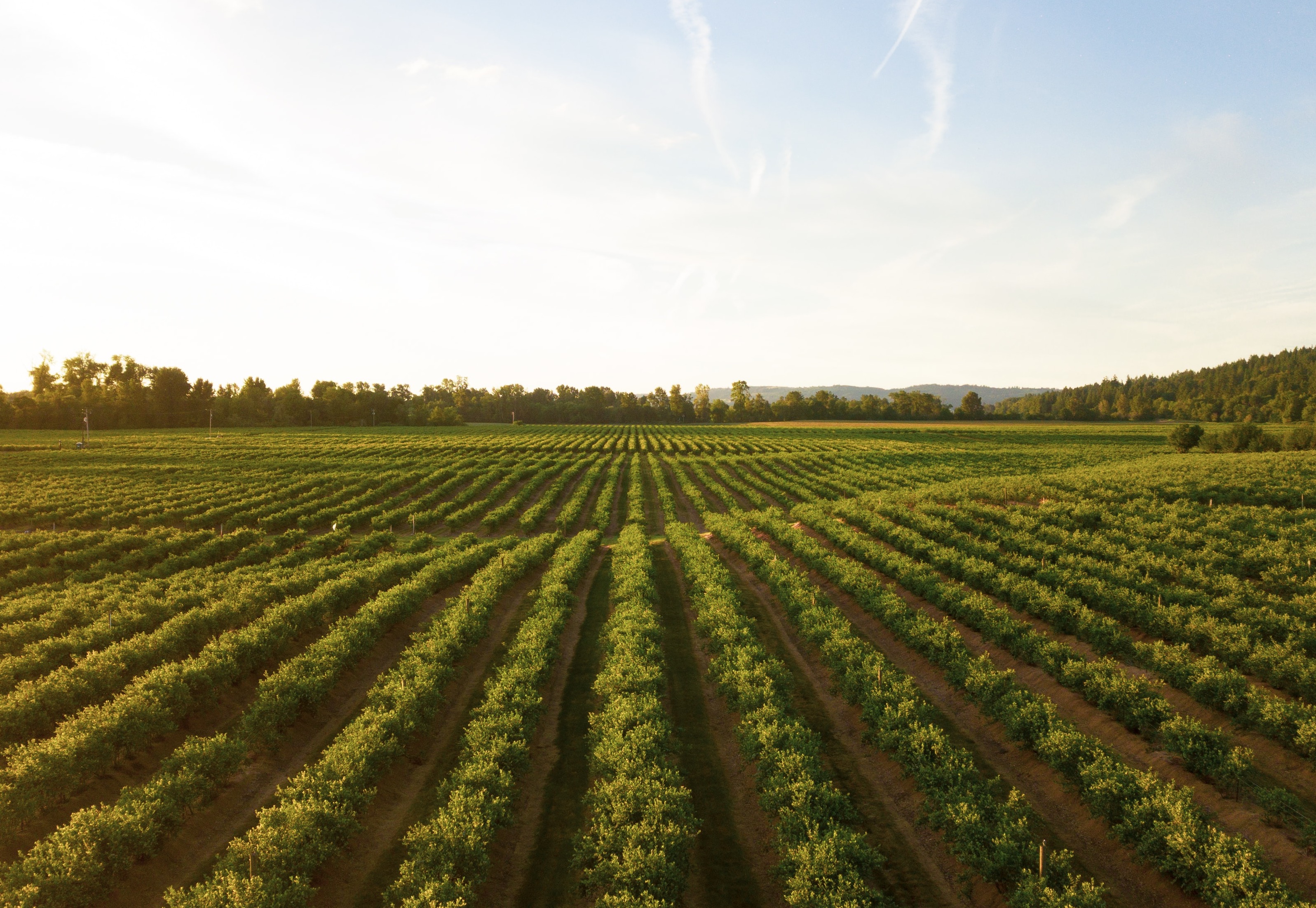 Assessment of agricultural plastics and their sustainability: A call for action card