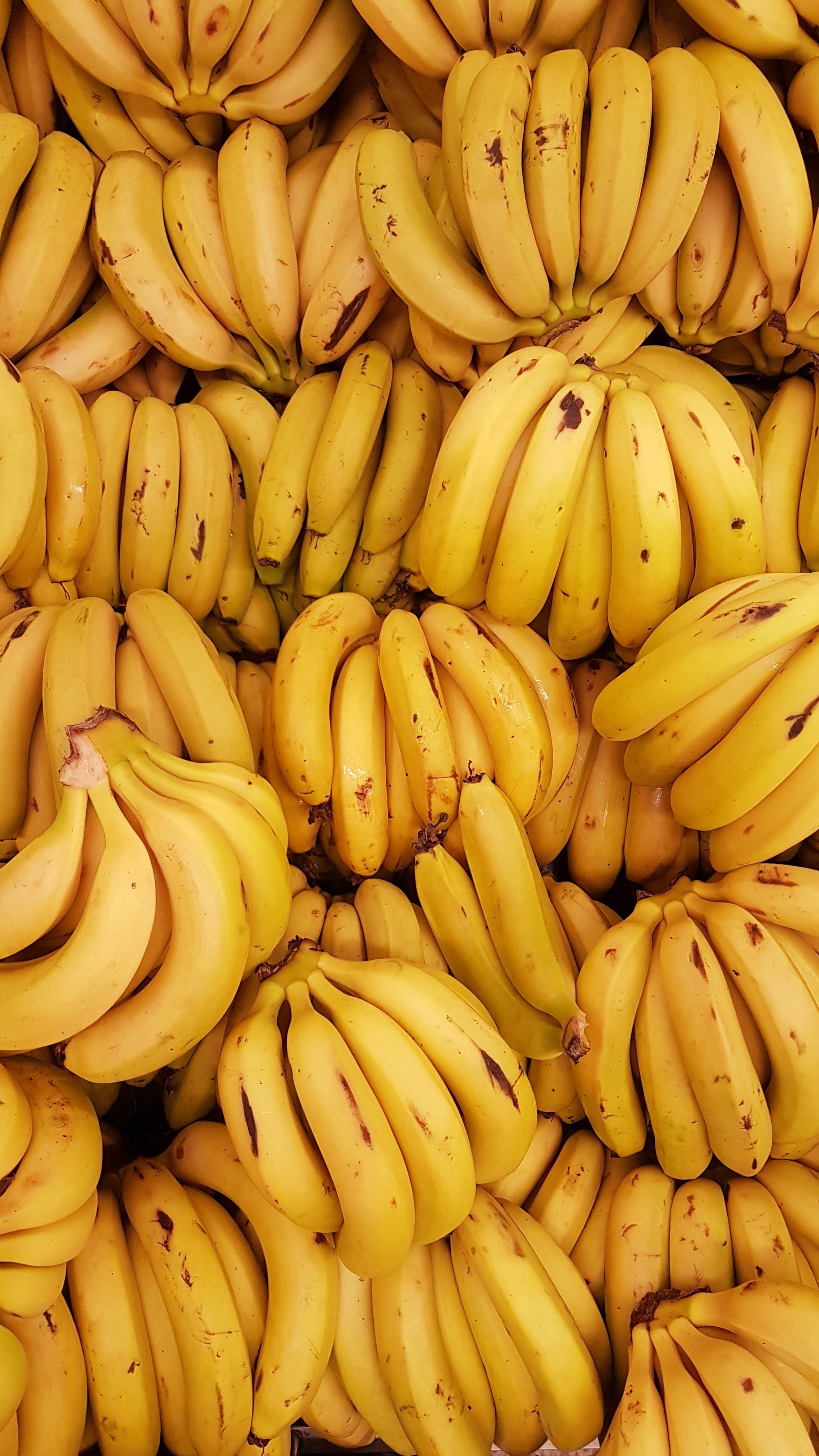 Biodegradable Polymer Compounds Reinforced with Banana Fiber for the Production of Protective Bags for Banana Fruits in the Context of Circular Economy card