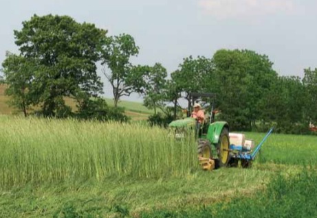 Beyond black plastic card