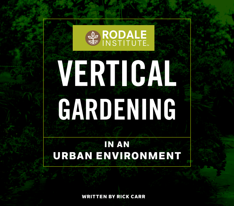 Vertical Gardening in an Urban Environment card