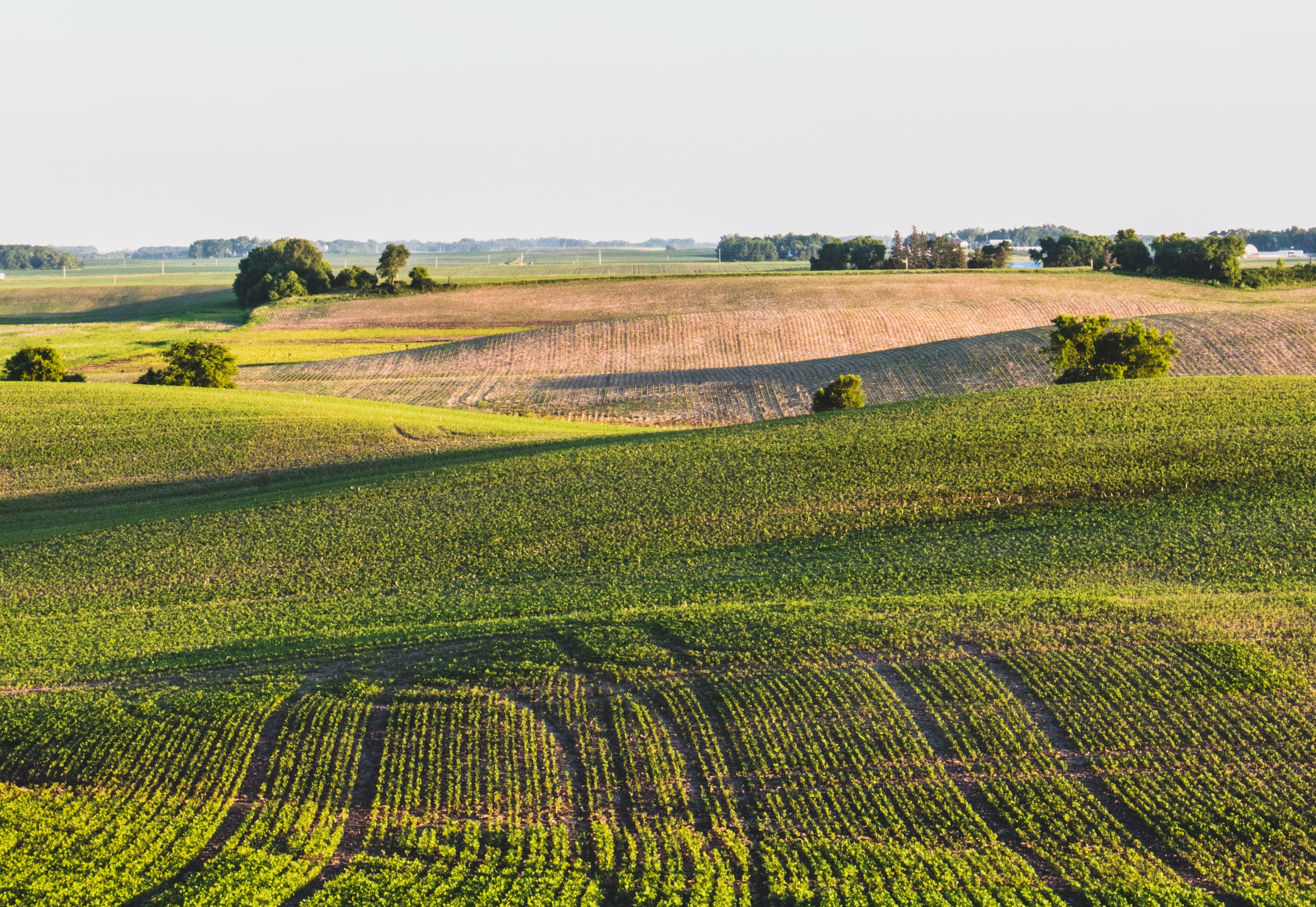 Tools for Organizations to Address Emissions from Natural Sources card