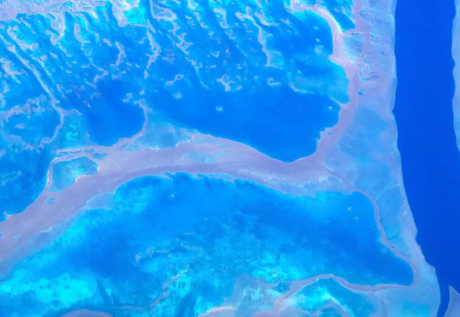 5 Reasons Why the G20 Needs a Sustainable Blue Economy card