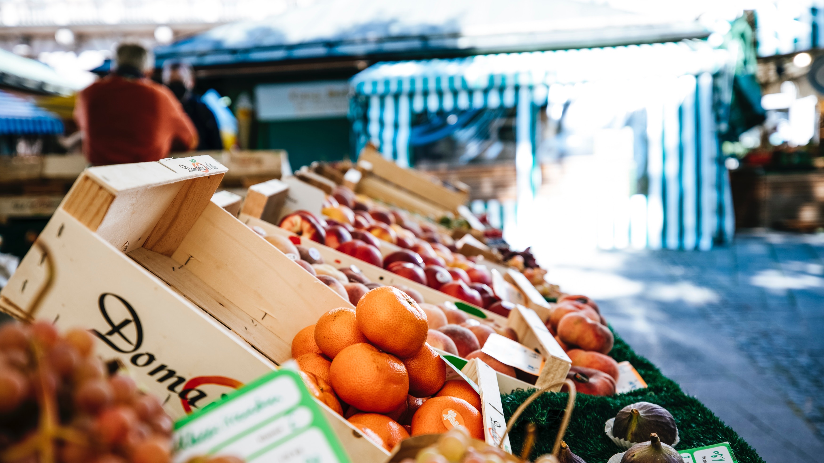 Novel Active Edible Food Packaging Films Based Entirely on Citrus Peel Wastes card