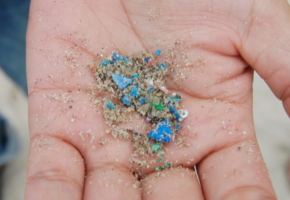 Impact of Microplastics and Nanoplastics on Human Health card