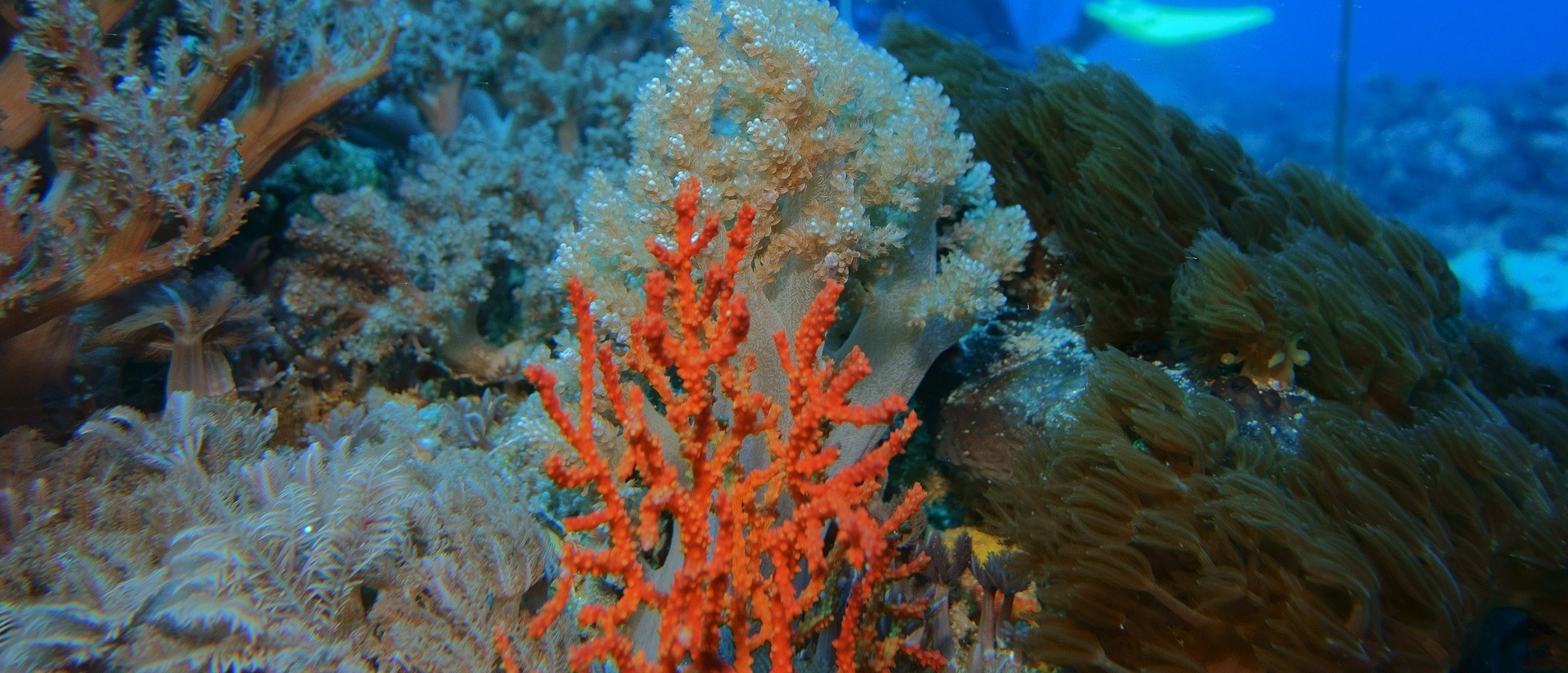 Best Practices- Evidence-based Decision Making card