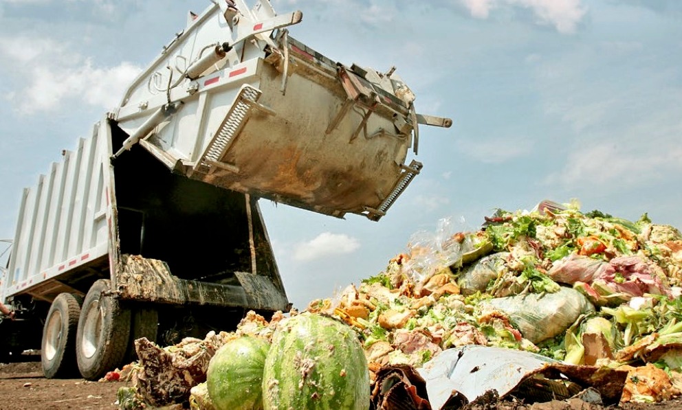 Halving Food Loss and Waste in the EU by 2030 card