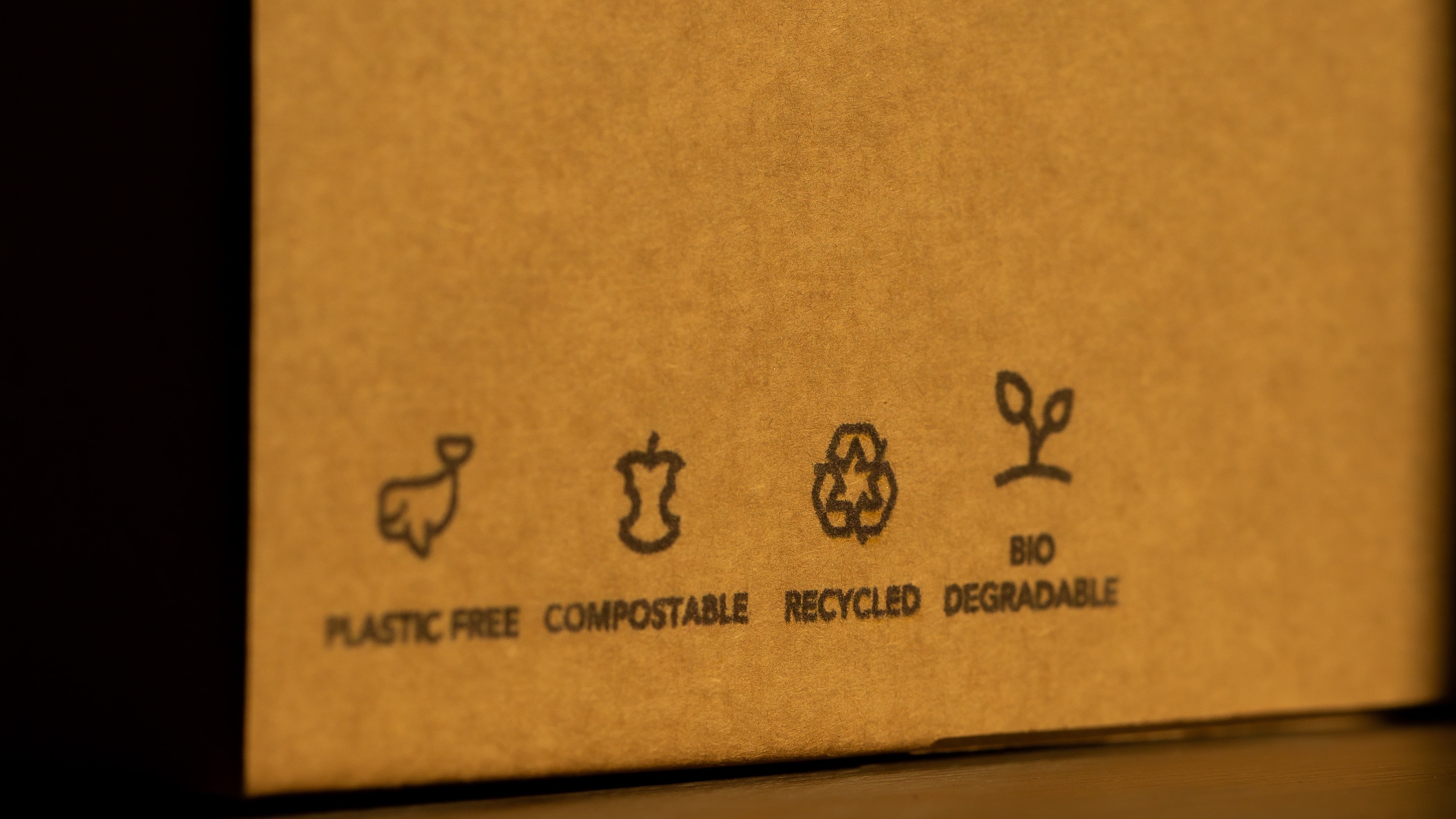 Sustainable Packaging Industry Analysis card