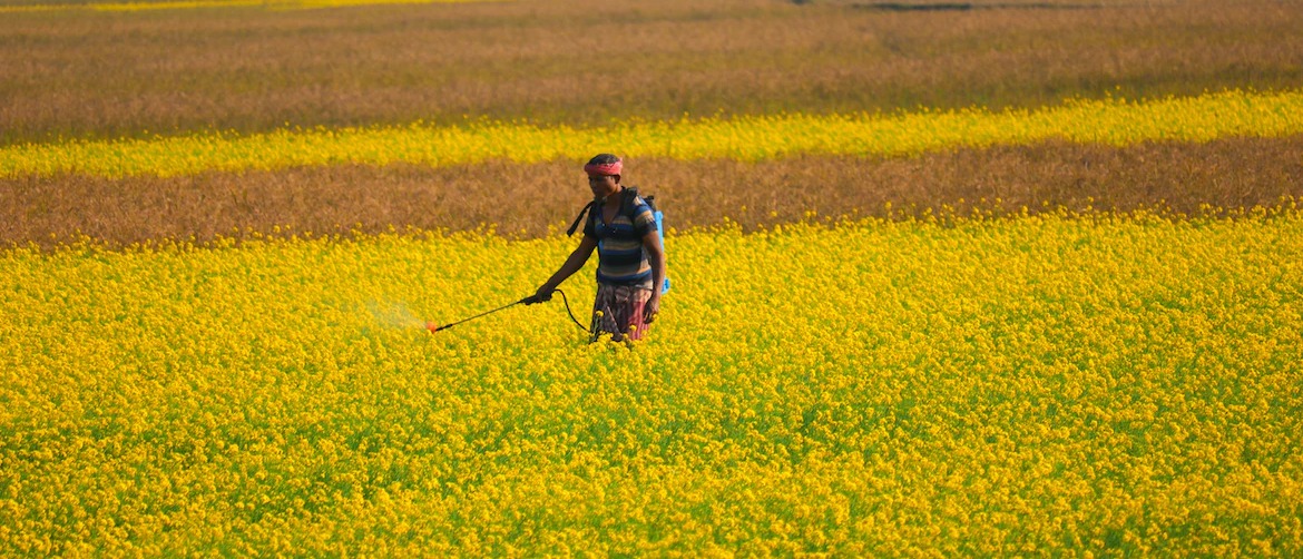 Biopesticides as a promising alternative to synthetic pesticides card