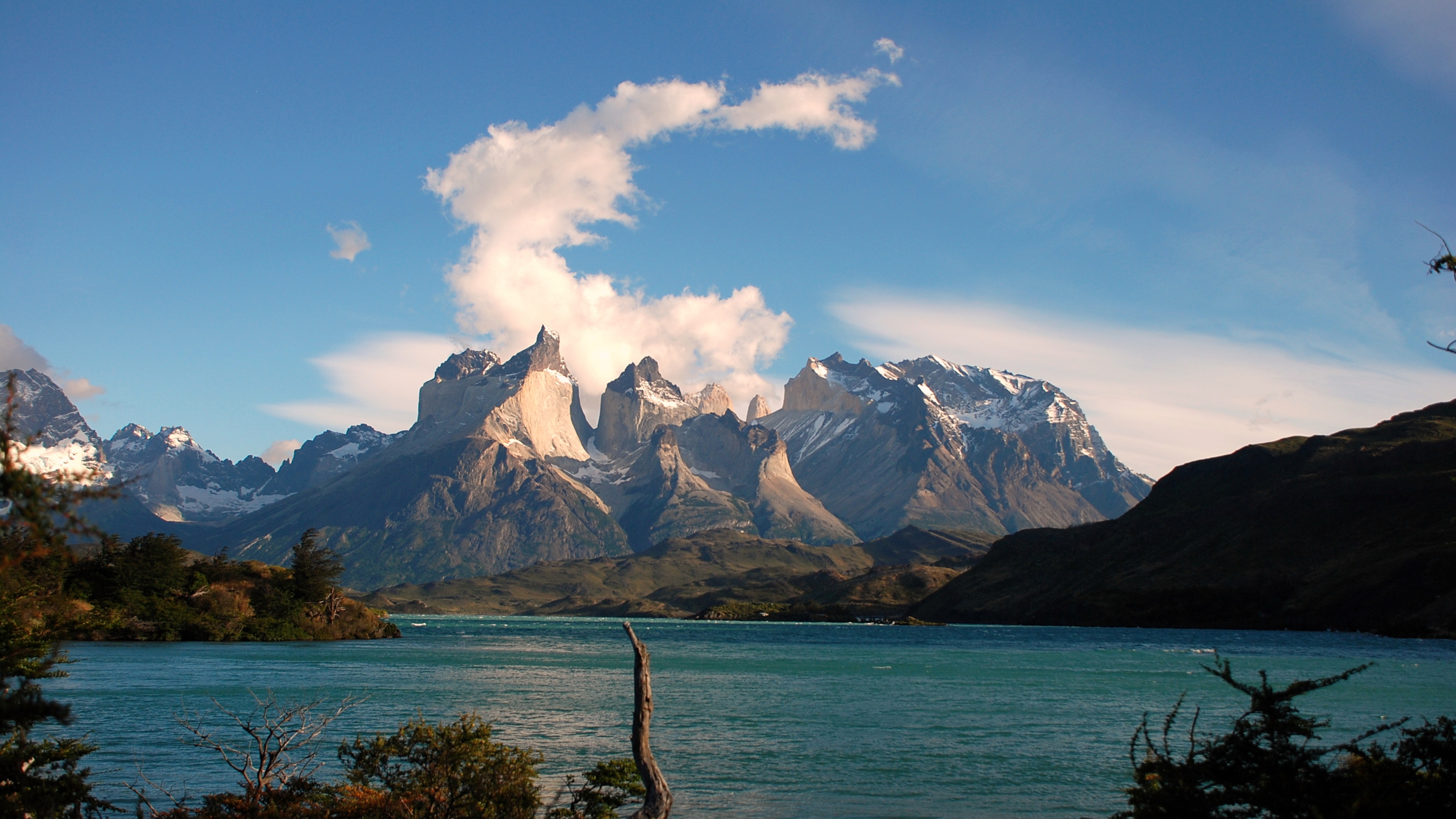 Patagonia: A Sustainable Success Story card