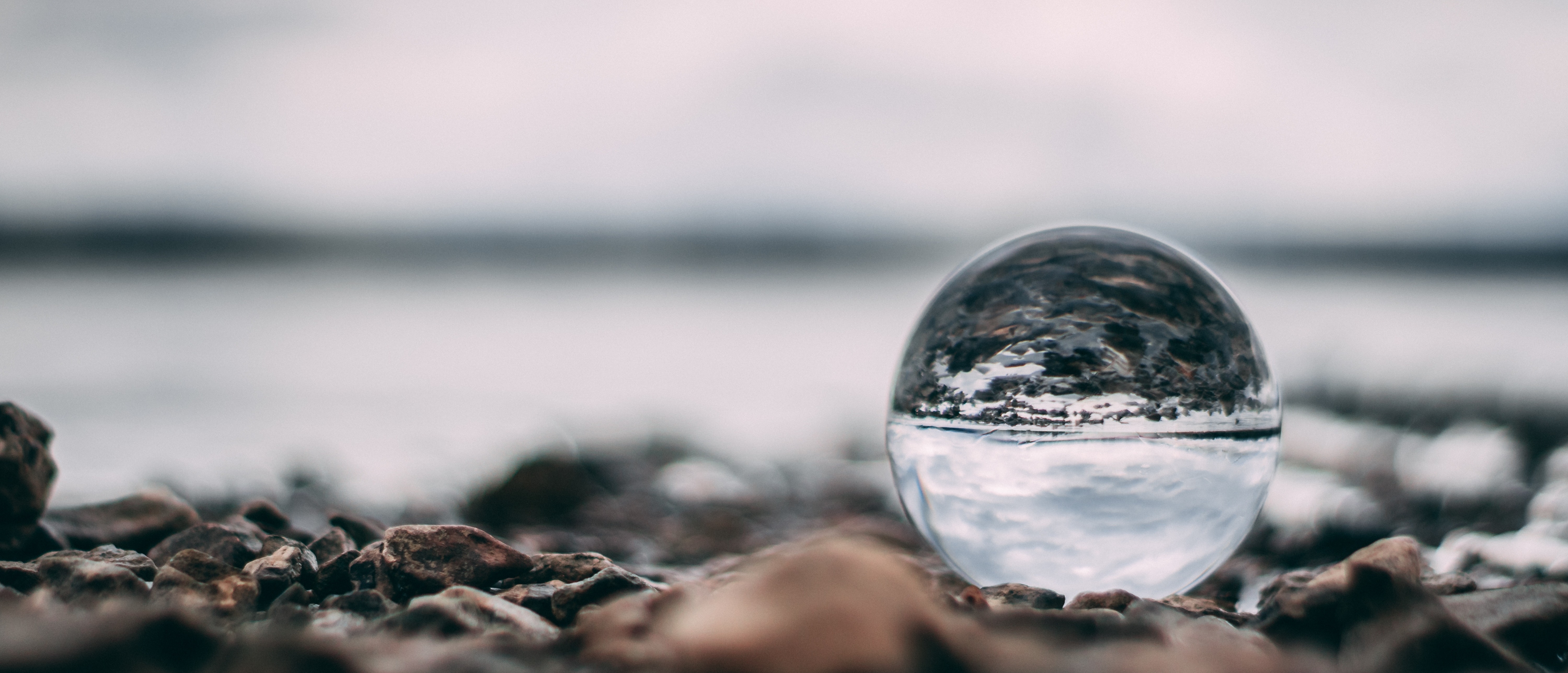 Case Study of Circularity card