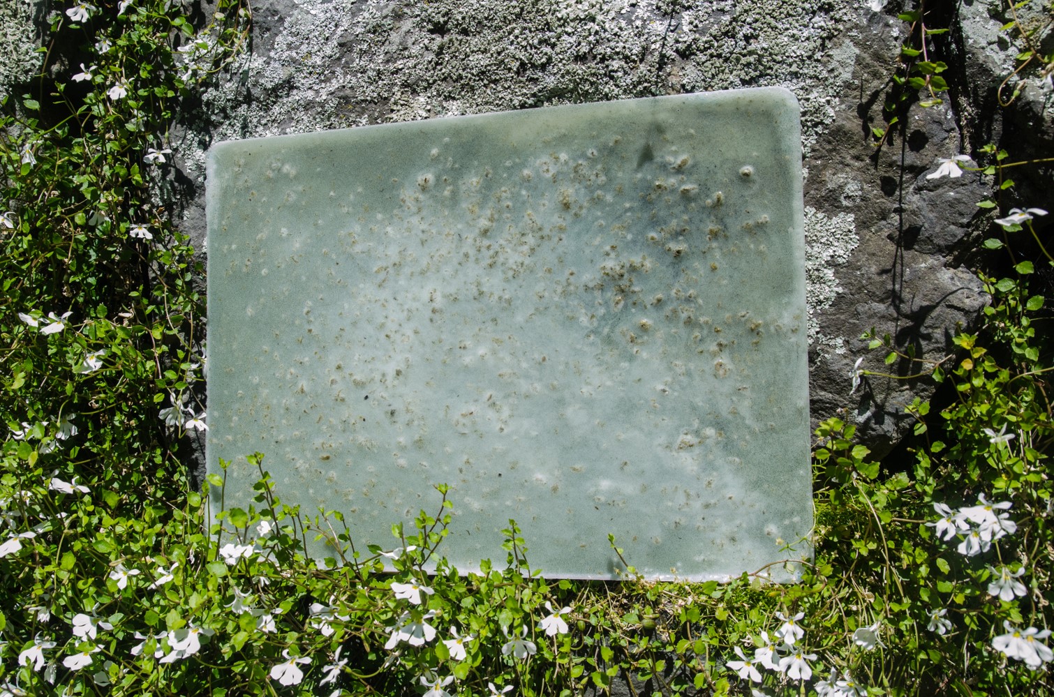 Bioplastic Cook Book card