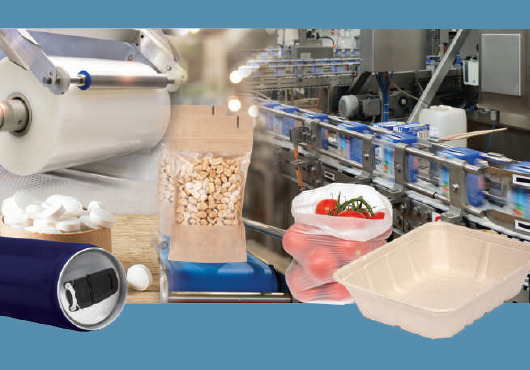 2020 Packaging Sustainability: A Changing Landscape Executive Summary card