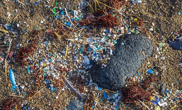 Recycling of Plastics in Food Packaging card