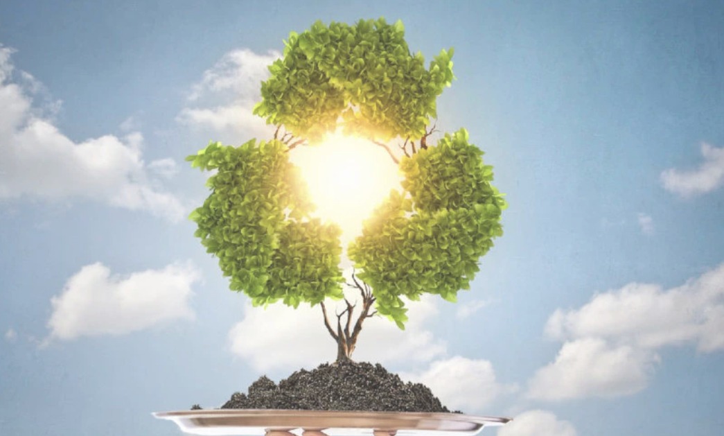 The Global Market for Bioplastics and Natural Fibers to 2030 card