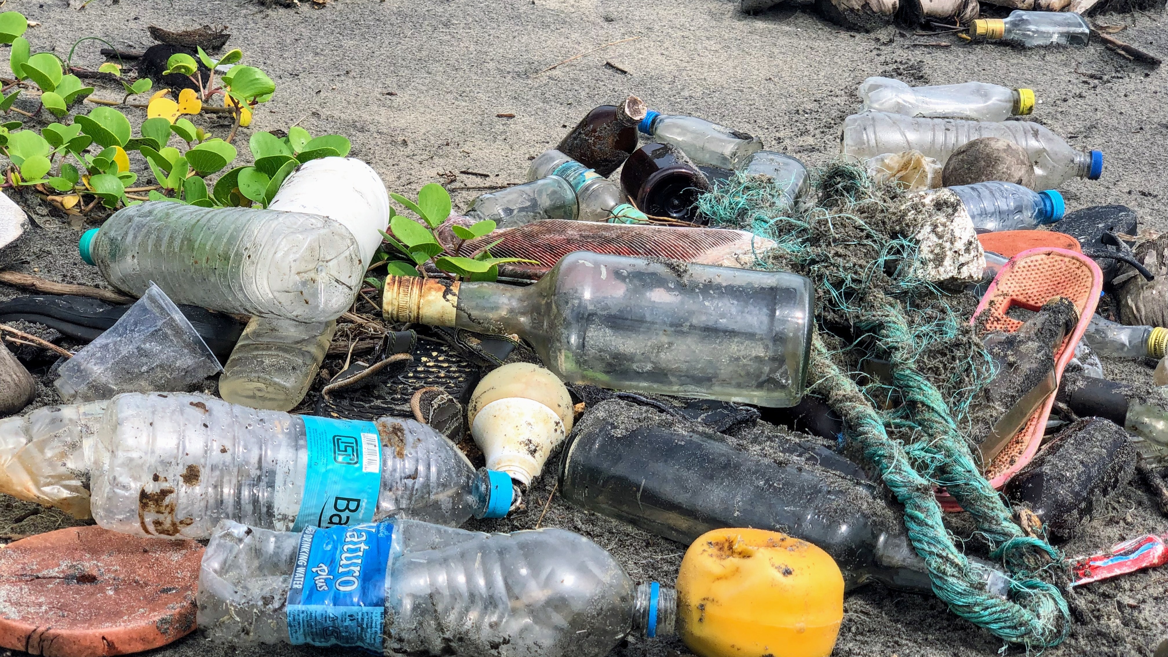 The Business Case for a UN Treaty on Plastic Pollution card