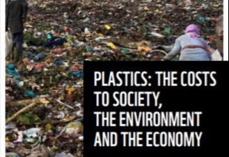 Plastics: The costs to society, the environment and the economy card