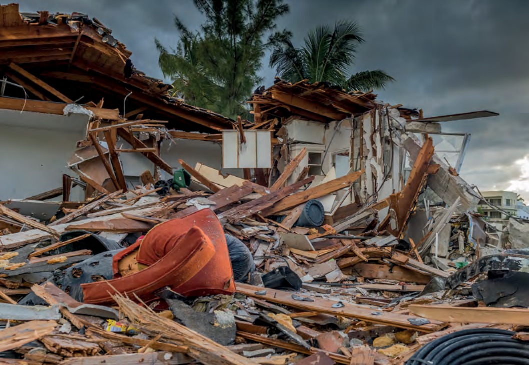 The Future of Nature and Business card