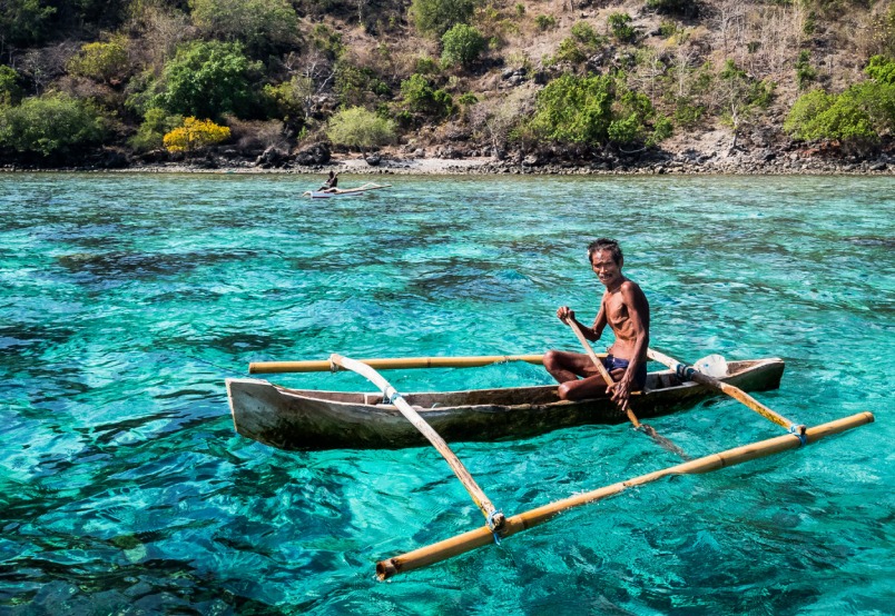 Coral Reef Economy card