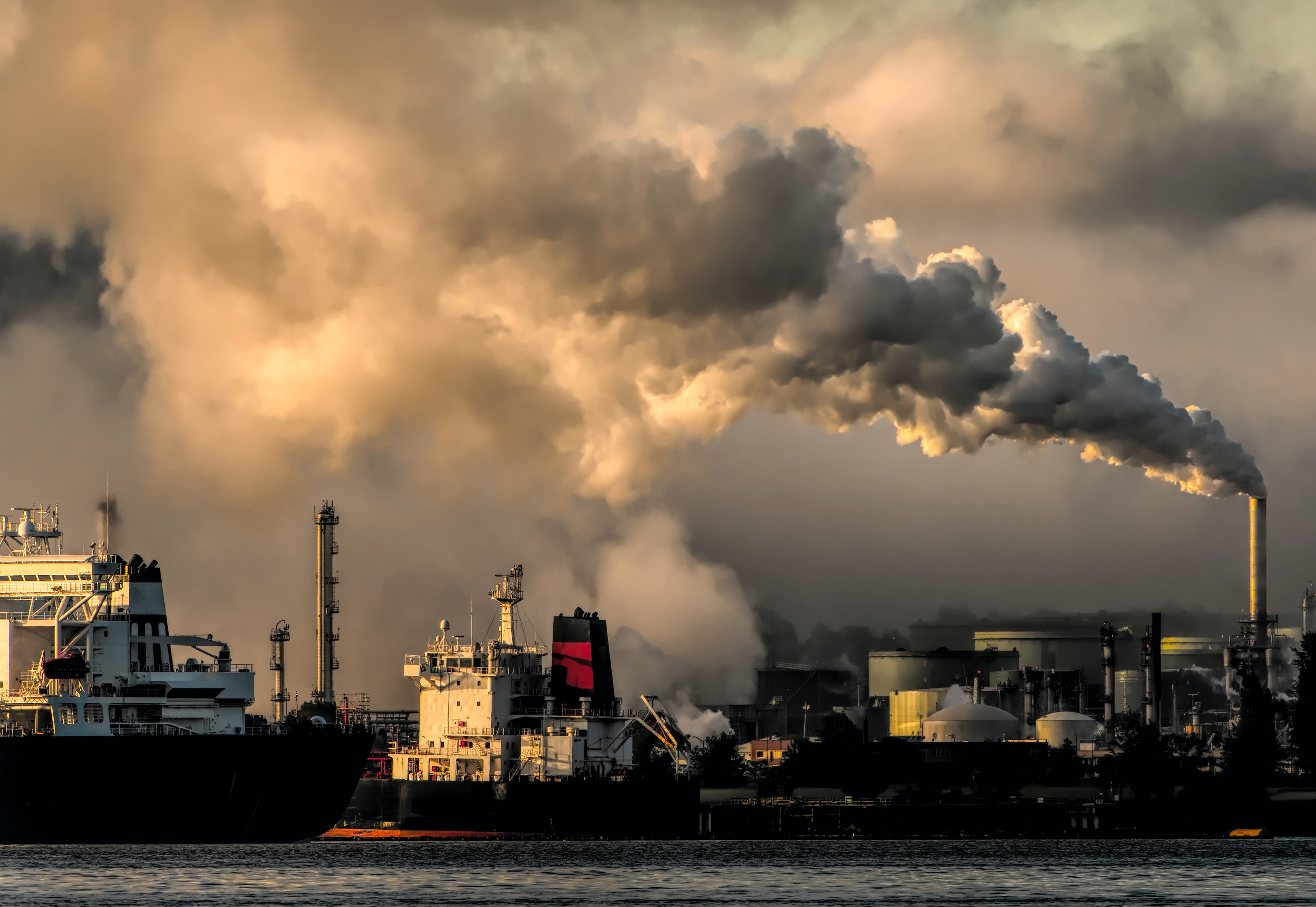 CCUS Development Pathway for the EfW Sector card