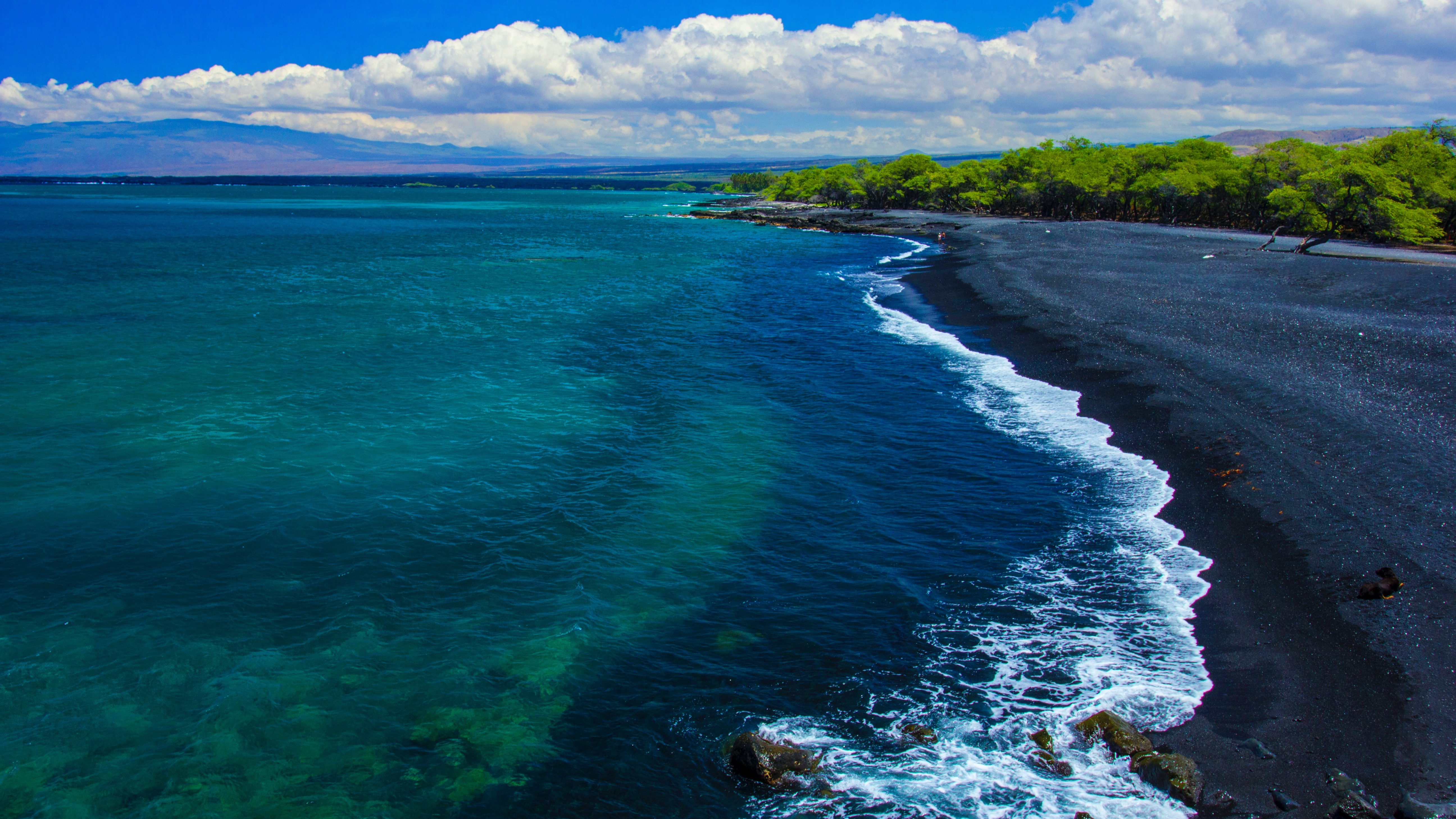 Waste to Bioplastics: How Close Are We to Sustainable PHA Production? card