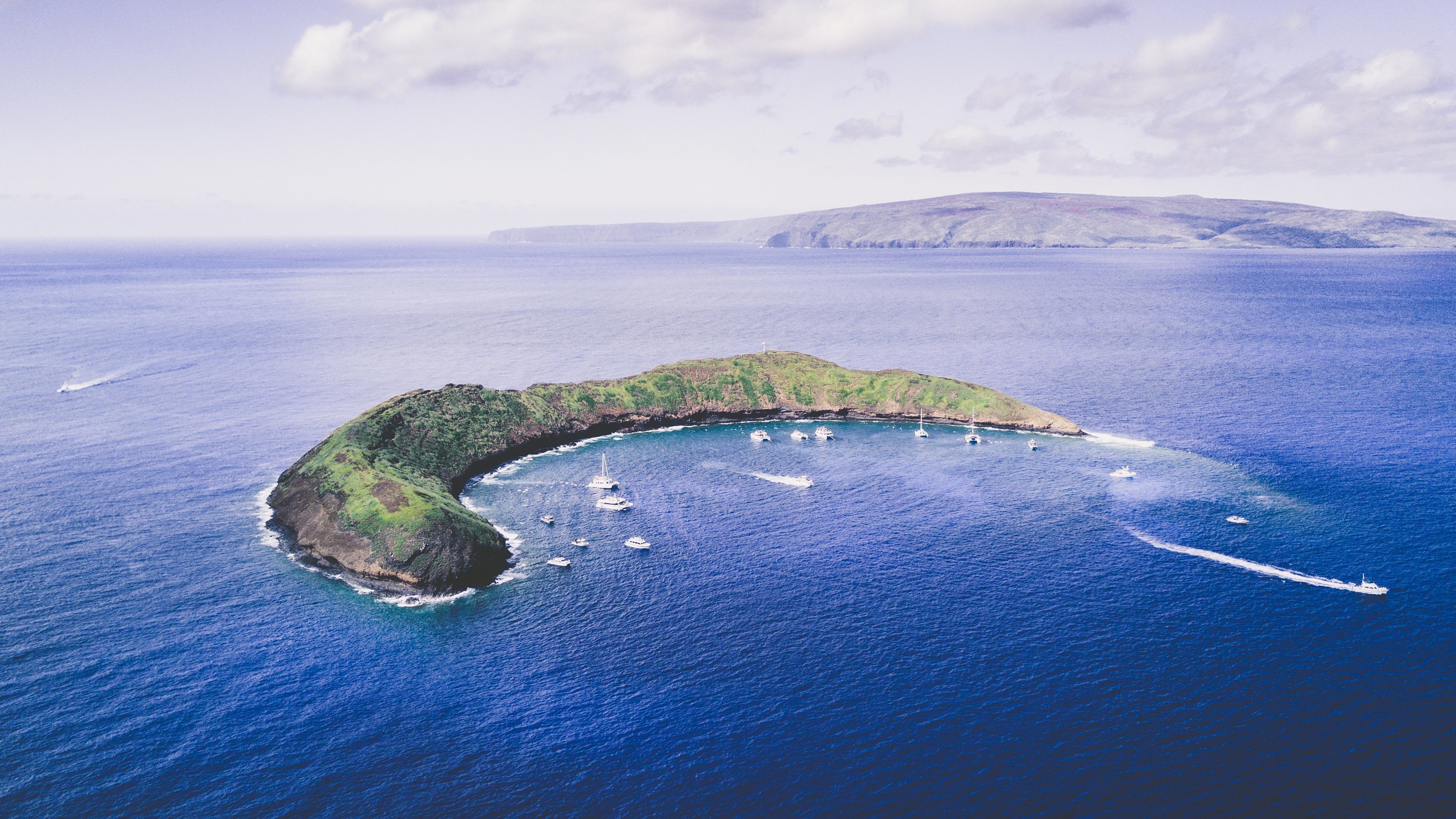 Recycled Water for Reefs card