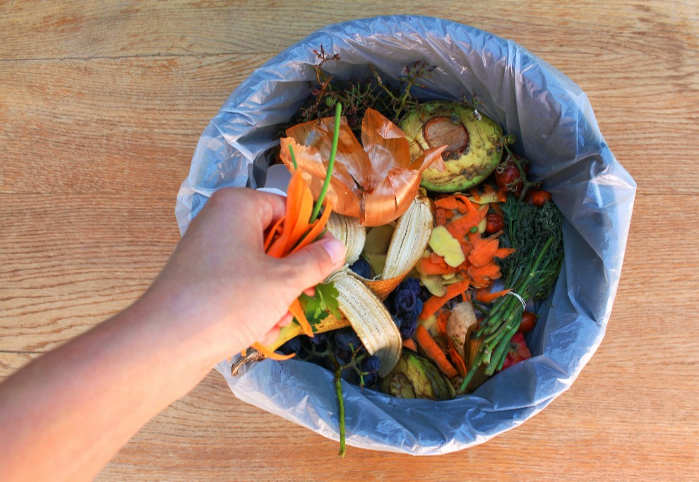 Food Waste Recycling for Business card