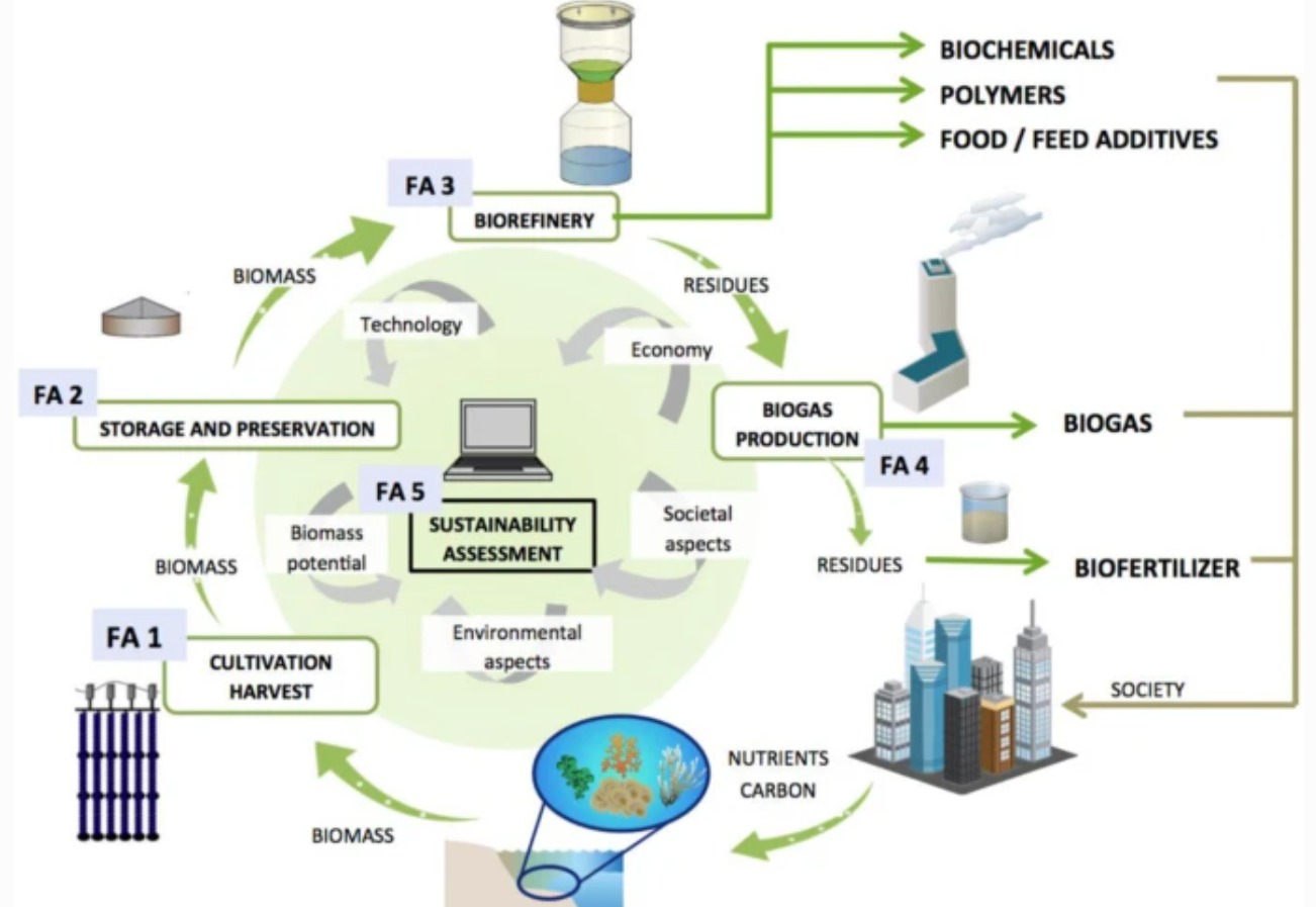 Stakeholder participation in sustainability assessment of non-wicked problems: the case of a future seaweed industry in Sweden card