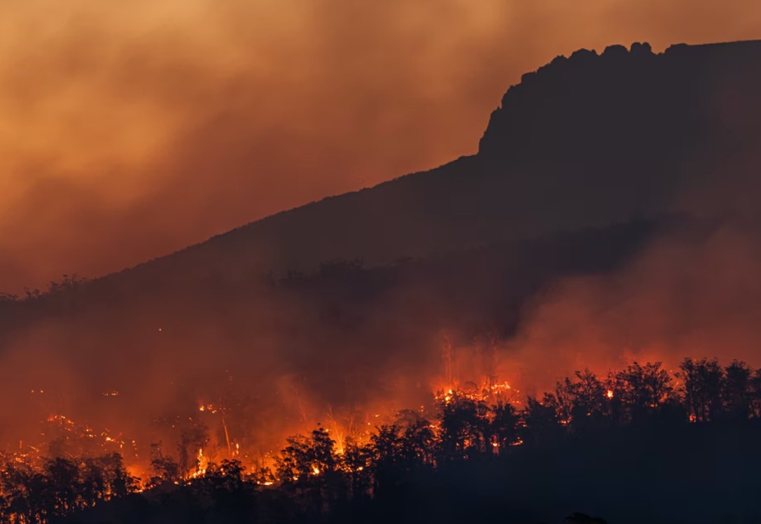 Primer for Cool Cities : Reducing Excessive Urban Heat with a Focus on Passive Measures card