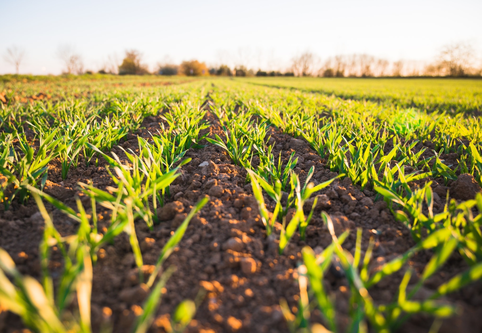 The New York Times’ Climate Hub card