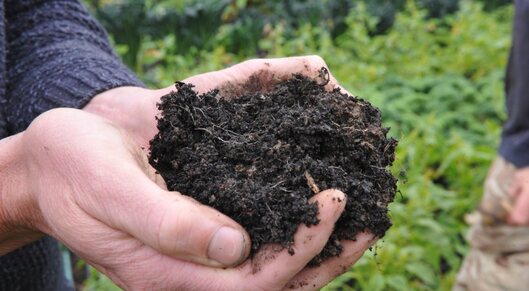 15% uplift in veg performance with biochar and compost added to soil card