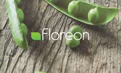 Floreon card