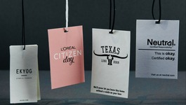 CEAE Sustainable Products card