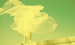 Resynergi, Inc. card