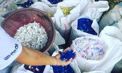 Plastic Neutral Program card