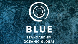 Blue Standard card