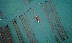 Coast 4C Limited card