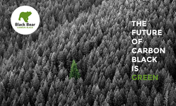 Black Bear Carbon card