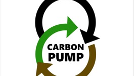 CarbonPump card