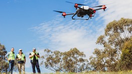 Lord of the Trees card