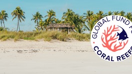 Bahamas Mangrove Restoration Partnership card